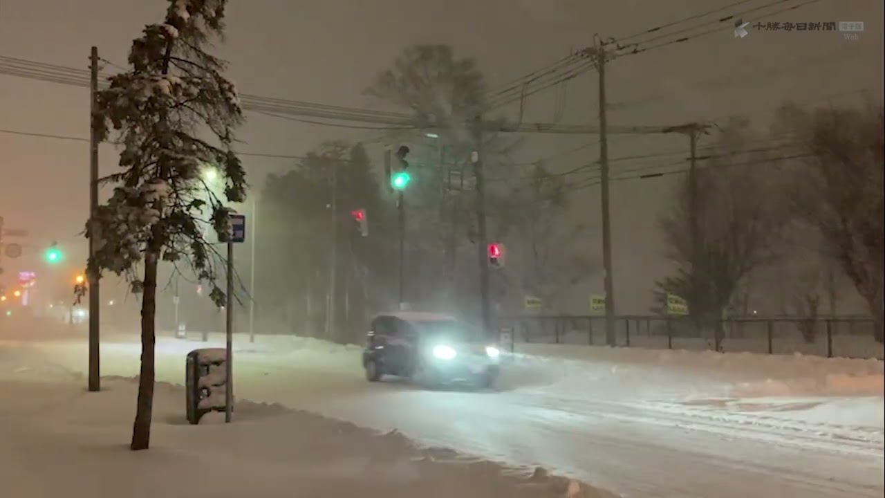 動画】大樹、広尾で21センチ 帯広12センチなど 午後6時現在の積雪