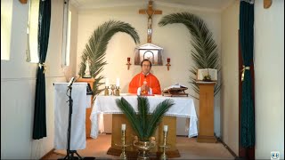 Chúa Nhật 5/4/20, 11:00am sáng, Thánh Lễ trực tuyến - CDCGVN TGP Sydney (giờ Sydney, Úc Châu)
