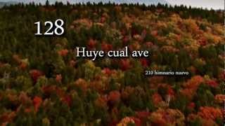 Video thumbnail of "128 Huye cual ave (210)"