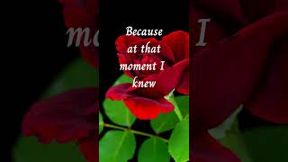 🌹MADLY in LOVE🌹 (with you) . . . (Romantic Love Poem)