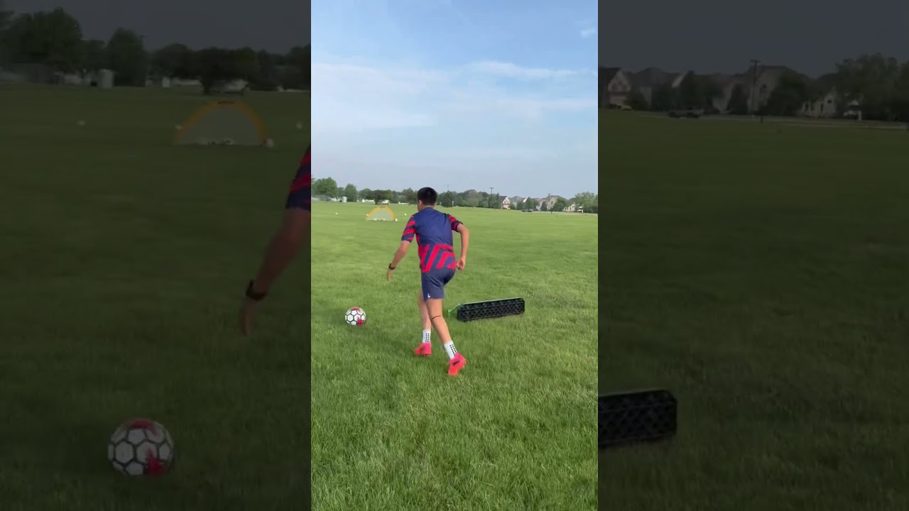 Located in the CHICAGOLAND area. Limited availability! 