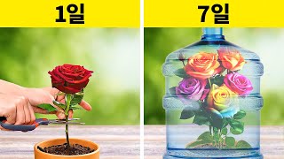 꽃과 다른 식물 🌷🌹 🌱봄을 위해 정원을 준비하는 좋은 아이디어