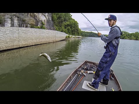 Bass Fishing the Upper Potomac River (ft. SBFISHINGTV) 6 SPECIES CAUGHT!!!