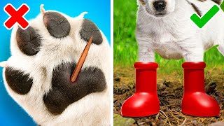 Cool Pet Gadgets And Genius Pet Hacks For Your Lovely Cats And Dogs 🐕🐈😺