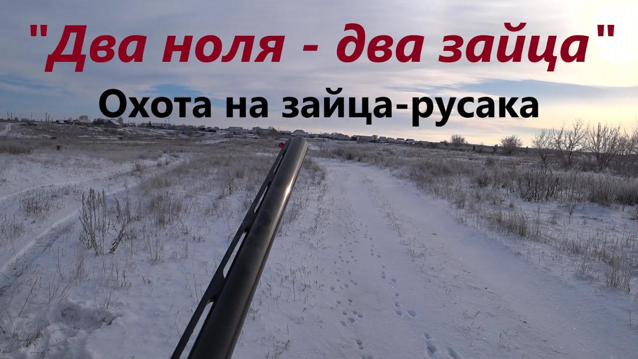 Охота на зайцев 
