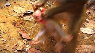 Baby LEO Has Been L0st His Mind As Mom LIBBY Try Bl0cked Milk Z0ne And Teach LEO To Know W-e-aning