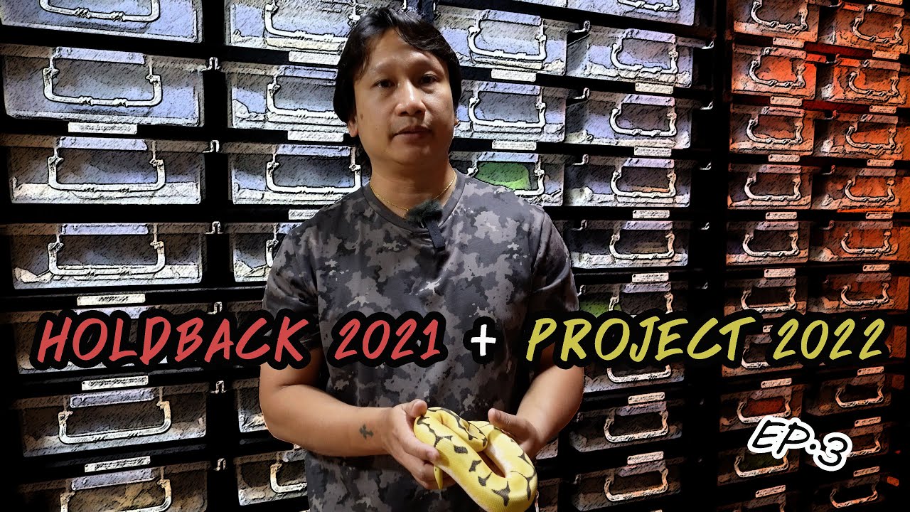 HOLDBACK 2021 + PROJECT 2022 YouTube