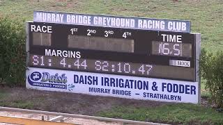 Murray-Bridge-straight-03062026-Race-1