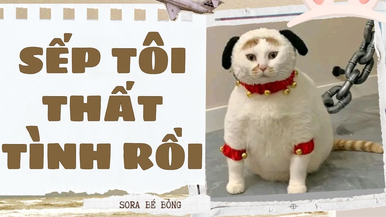 [Truyện Audio ] [FULL] SẾP TÔI THẤT TÌNH RỒI || Sora Bé Bỏng