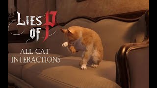 All cat interactions - Lies of P