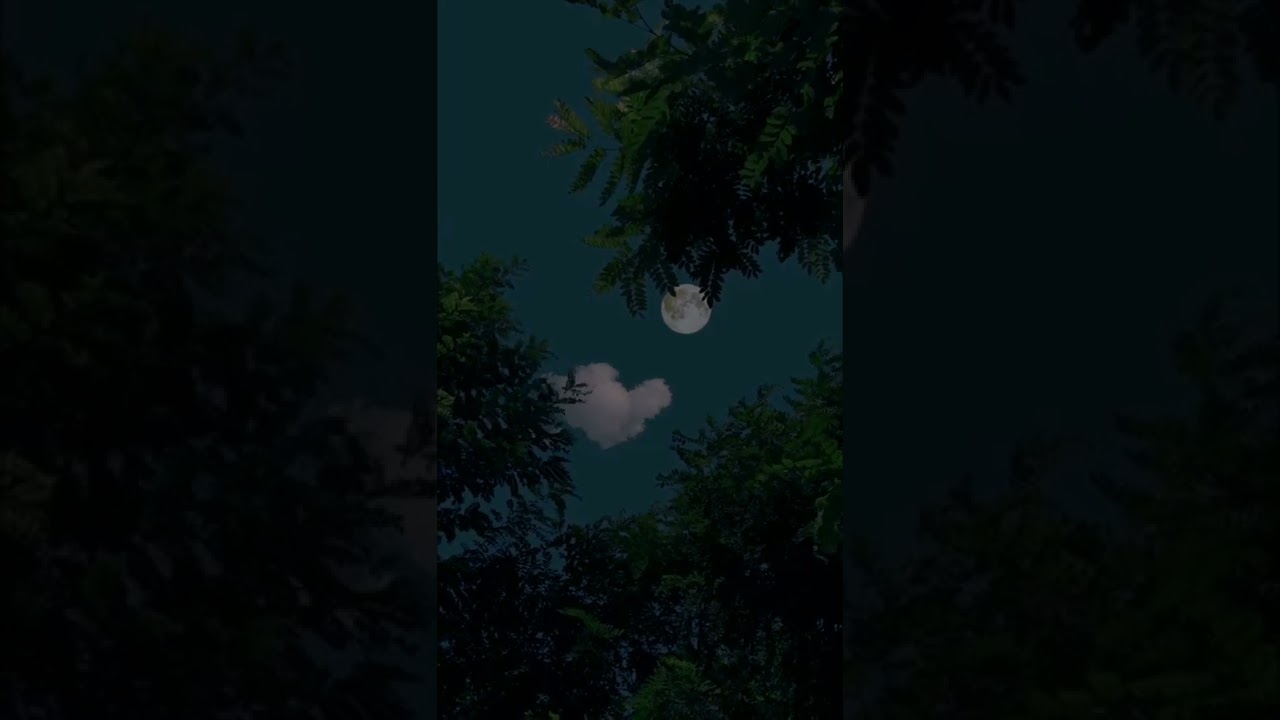 Meri Rah Tujhse - New youcanmusic Lyrics Status💘Love Song Hindi WhatsApp Status💓