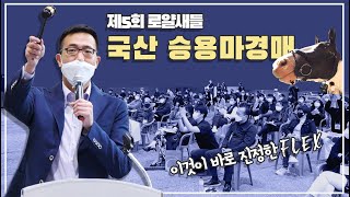 도쿄 올림픽 출전하는 한화 김동선의 제5회 로얄새들 국산 🐴승용마 경매 screenshot 1