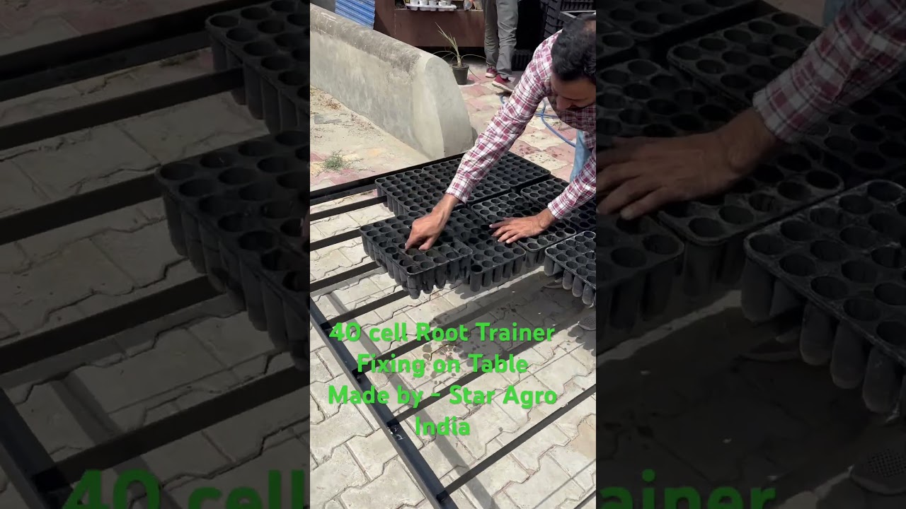 40 cell Root Trainer with table. Mobile no - 9756202155