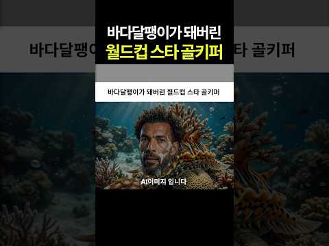 바다달팽이가 돼버린 월드컵 스타 골키퍼!? #카보베르데 #보지냐 #월드컵 thumbnail