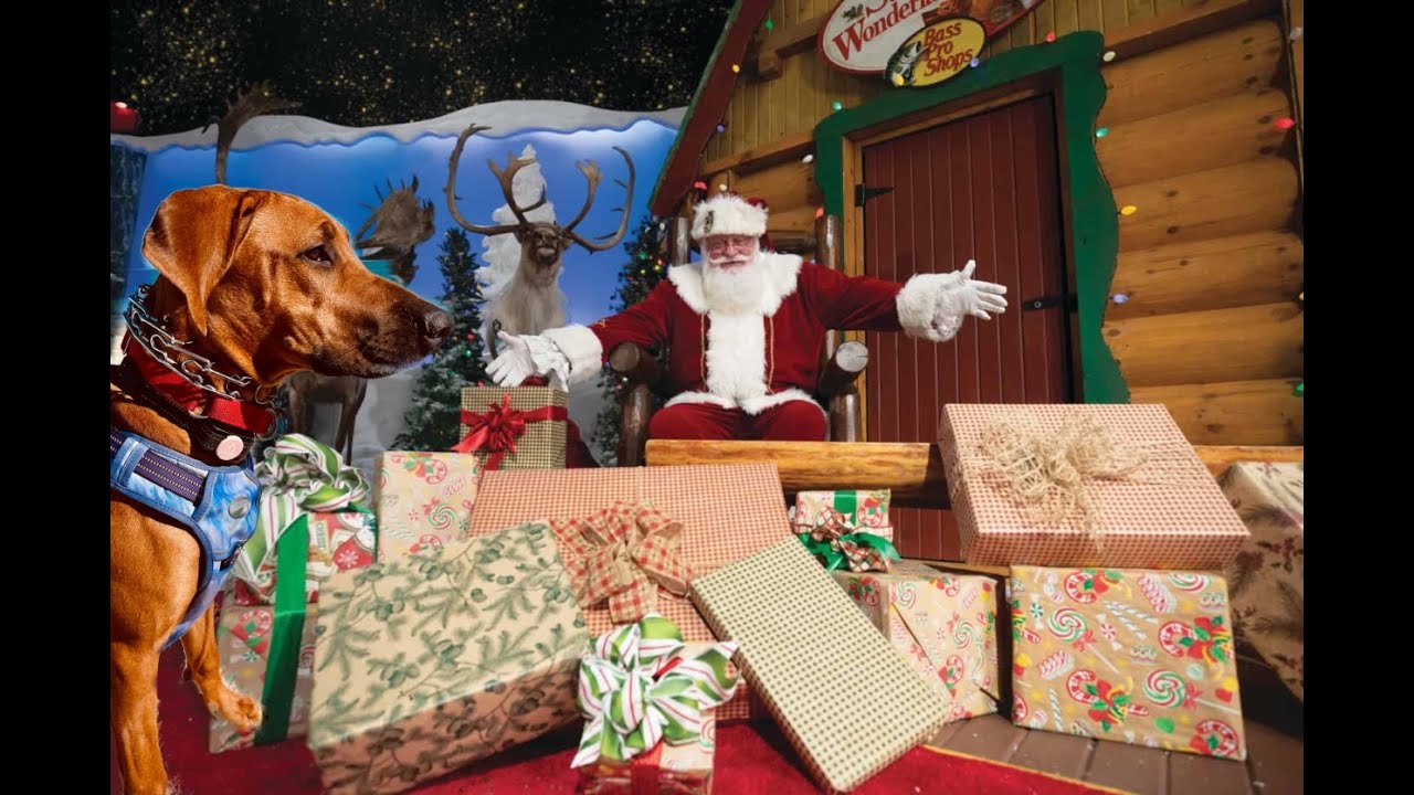 honey-bella-and-the-family-visit-santa-at-bass-pro-shops-for