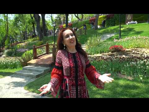 Aylin Şengün Taşçı - Sevgili İstanbul Cihana Bedelsin