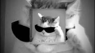 Yade Lauren and Yellow Claw - Love And War (Speed up)