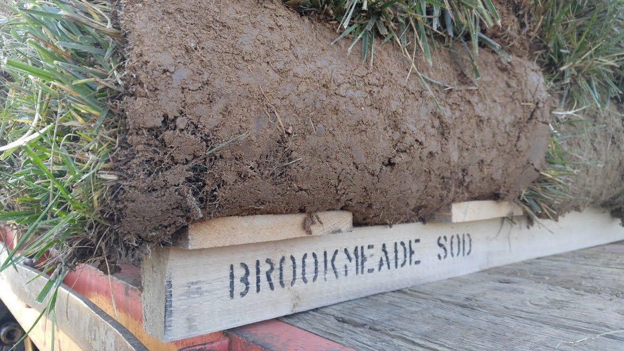 Virginia's Brookmeade Sod Farm