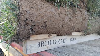 Virginia s Brookmeade Sod Farm