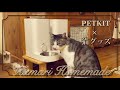 【PET KIT】【SUB】