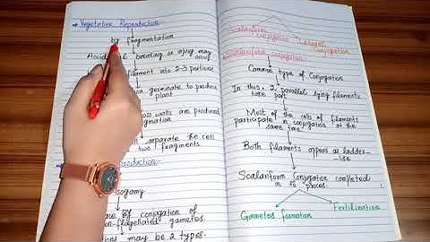 What is Spirogyra? Reproduction (vegetative,sexual,Asexual) of Spirogyra by The Pool of Science