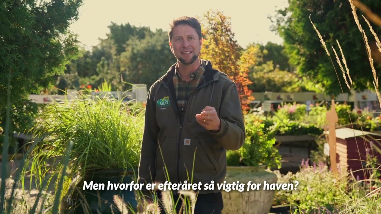 Efteråret er plantetid - tilplant haven nu og nyd planterne i fuldt flor næste år!