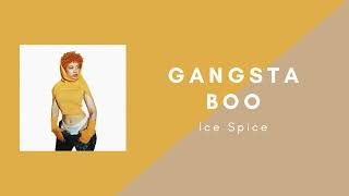 Ice Spice - Gangsta Boo (New Album Stock Video)