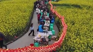 Tourists enjoy long-table banquet in rapeseed field