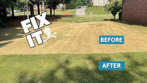 Fix Severe Drought stress lawns with this one Product.