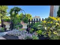 Some light planting  hydrangea black eyed susan sedum fountain grass  gardenaddictz