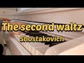 رقصة الفالس الثانية رائعة شوستاكوفيتش الخالدة    