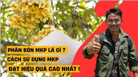PHÂN BÓN MKP LÀ GÌ  | CÁCH SỬ DỤNG MKP ĐẠT HIỆU QUẢ CAO NHẤT | MKP chặn đọt