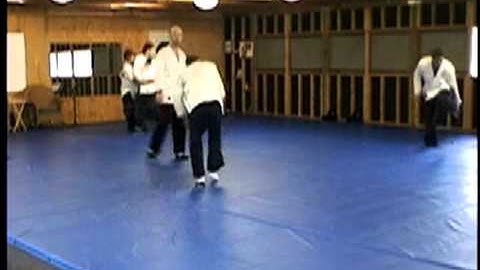 The Art of Effortless Power: (Demo) Effortless Power Techniques