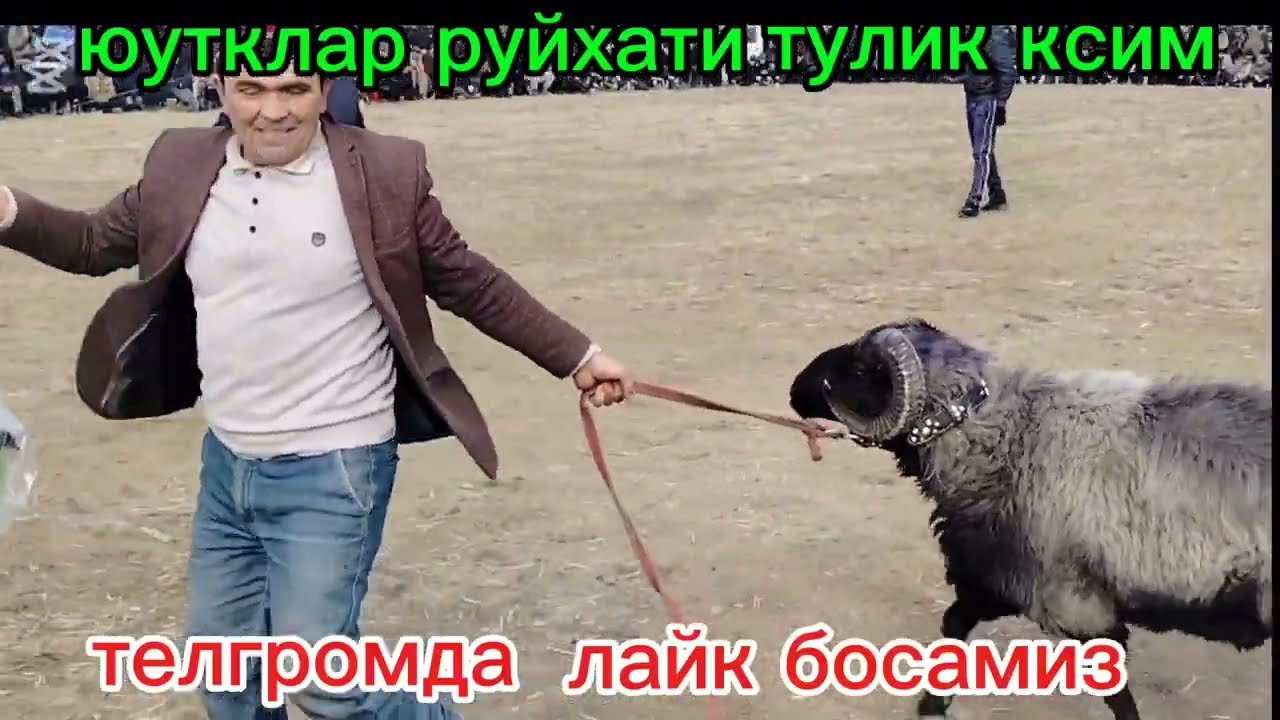 12 февраля 2025 г.УРГАНЧ ПАХТАКОР ЛАЙК БОСАМИЗ