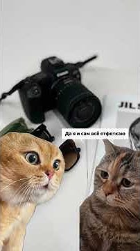 Контент под разные площадки: соц.сети, маркетплейсы, сайты #fashion # ...