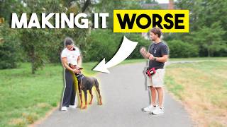Are You Making Your Dogs Commands Worse?