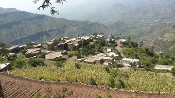 تلاوة خاشعة للشيخ حسن الخولاني- حفظه الله ||