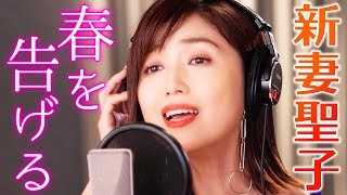 【新妻聖子が歌う】春を告げる / yama （Piano Cover）