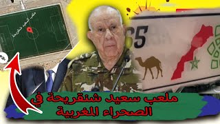 جزائري ملعب سعيد شنقريحة في الصحراء المغربية 😲 #الصحراء_المغربية