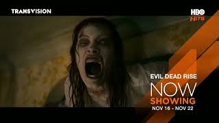 Hbo Hits Now Showing November 2023 Promo Highlights.