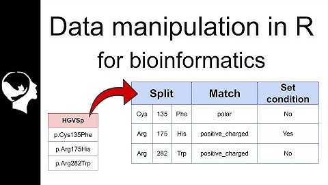 Data manipulation in R (For Bioinformatics)| R tutorial | For beginner