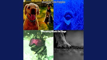 Pulsating Backdrops for Separation Anxiety