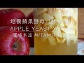 蘋果酵母（培養酵液篇）APPLE YEAST WATER From scratch