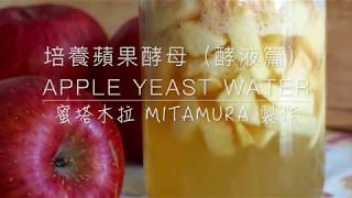 蘋果酵母（培養酵液篇）APPLE YEAST WATER From scratch 