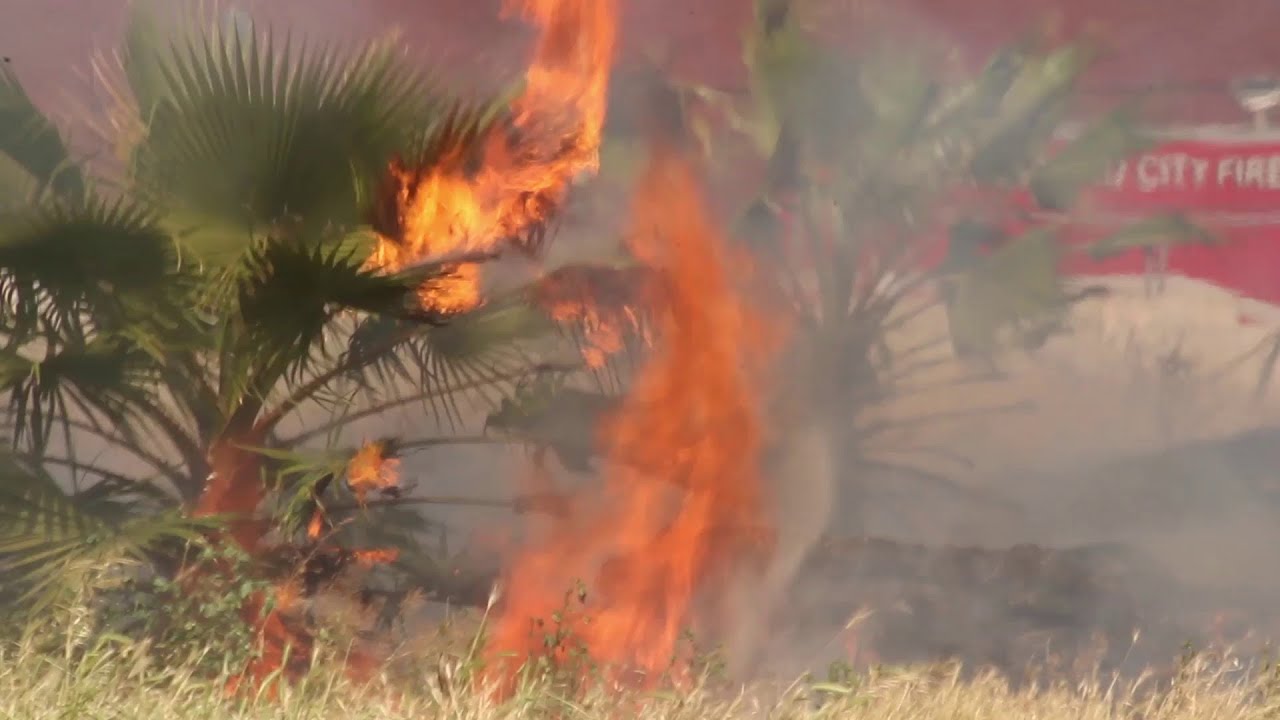 San Bernardino Crews Battling a Brush Fire - YouTube
