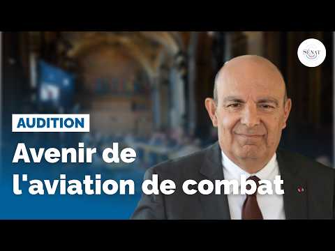 The Future of Combat Aviation
