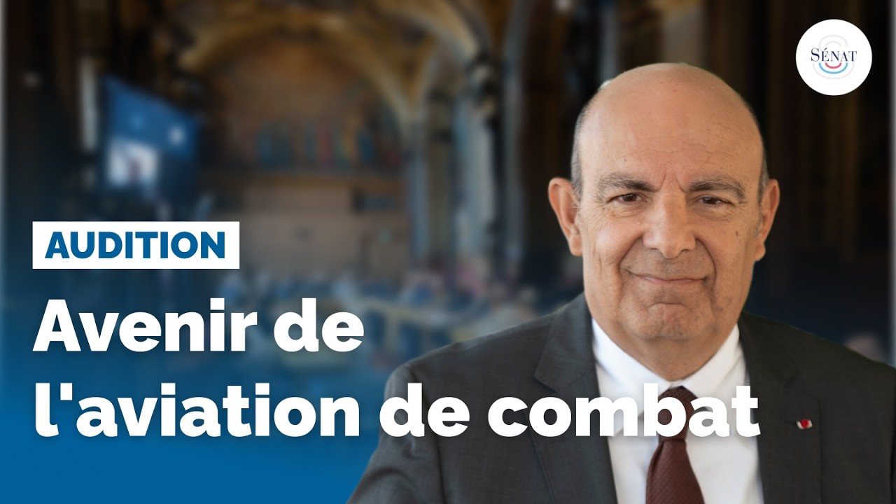 Avenir de l'aviation de combat