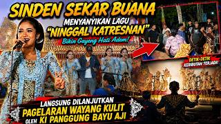 DETIK-DETIK KER1BUTAN SAAT SINDEN MENGHIBUR PENONTON - Wayang Project