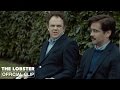 The lobster  the fight  official clip  a24