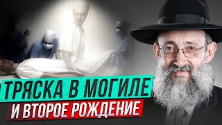 Встряска в могиле и второе рождение? Рав Ашер Кушнир